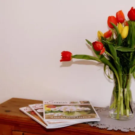 Apartamento Grubertal *